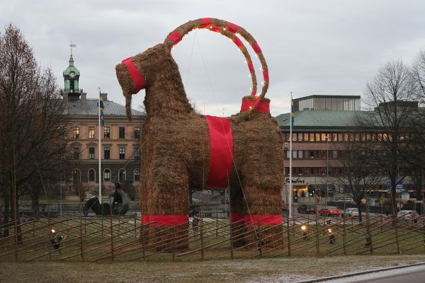 Gavle goat 