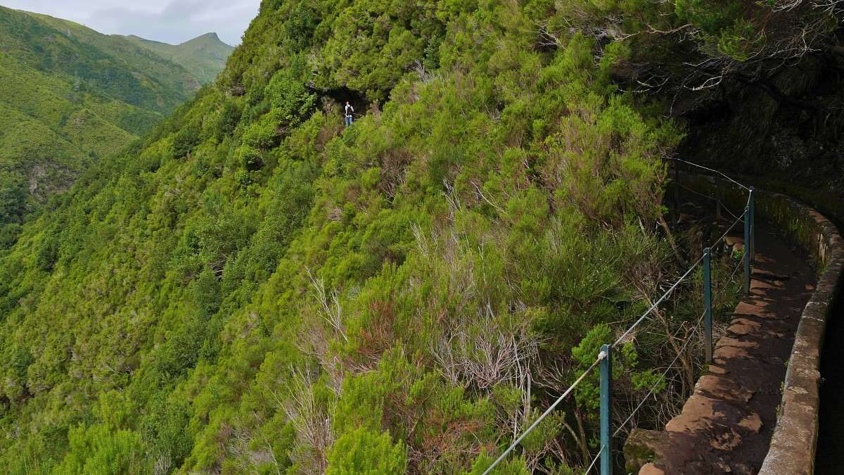 madeira levada das 25 fontes 