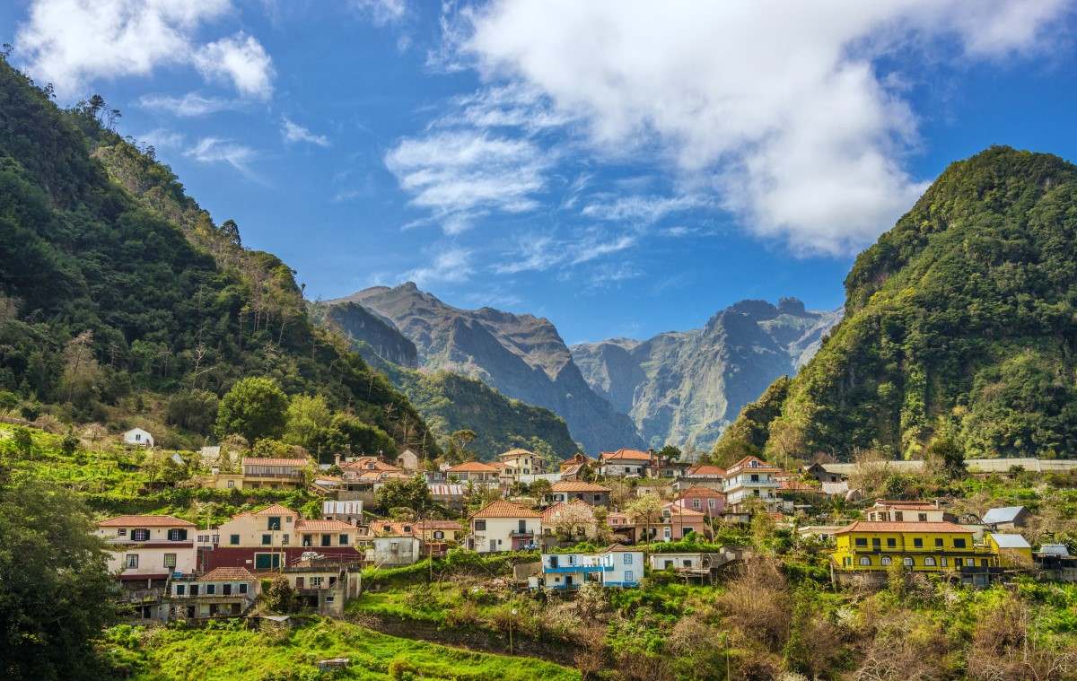 madeira ribeiro frio 