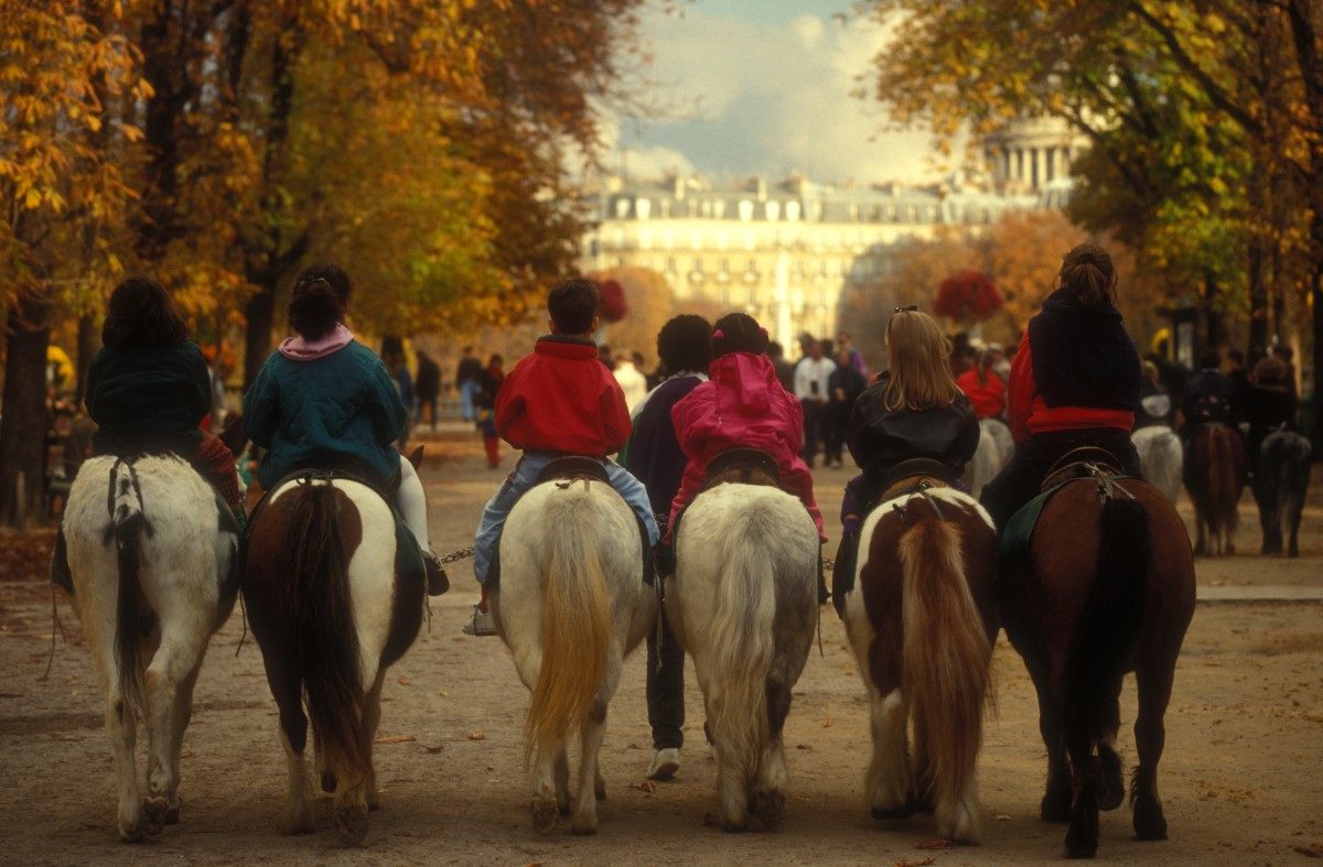 riding horse in paris 