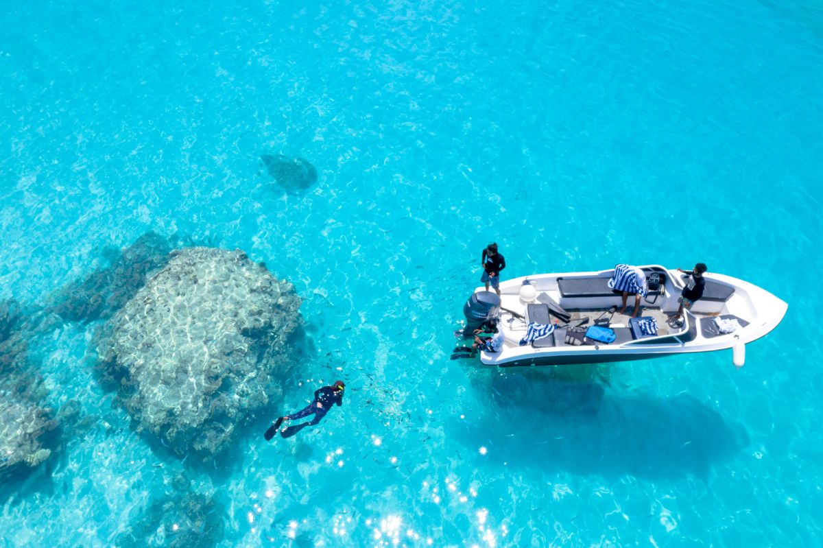 Diving in the Maldives © Asad Photo Maldives on pexels