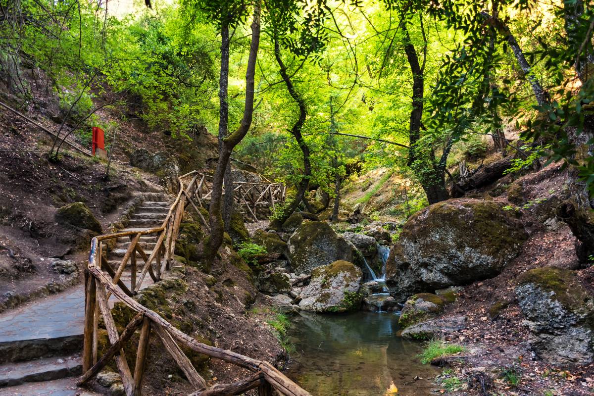 Dolina Motyli na Rodos © iStock